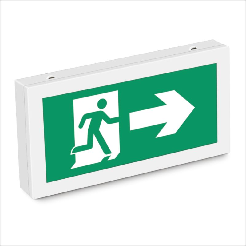 Non Maintained Sleek Light