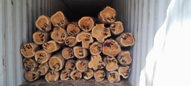 Teak Logs