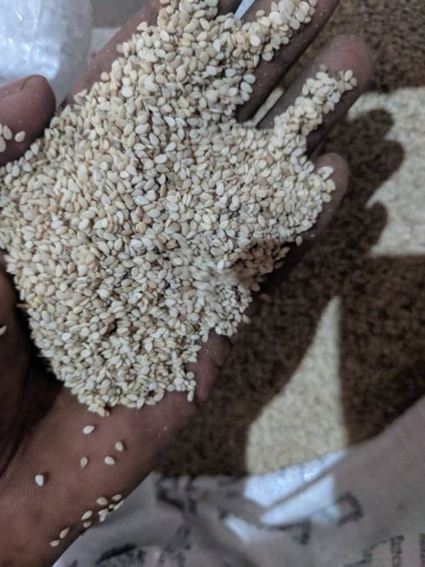 Hulled Sesame Seeds