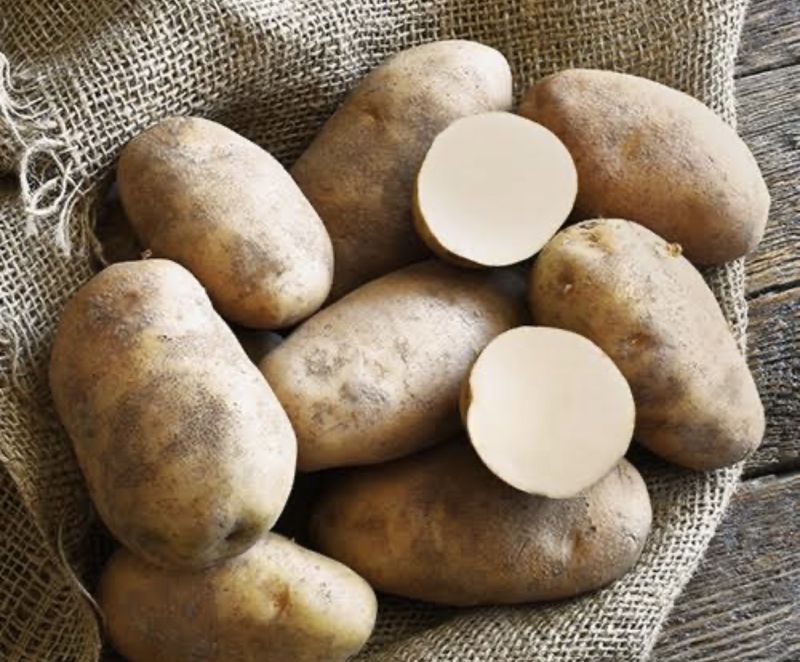 Potato