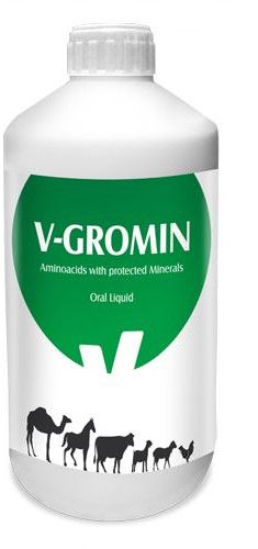 V Gromin Oral Liquid