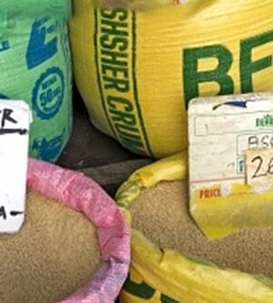 Agriculture & Farming Polypropylene Woven Sack