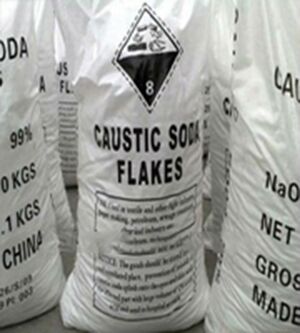 PP Polypropylene Woven Laminated Coated Inside Bag