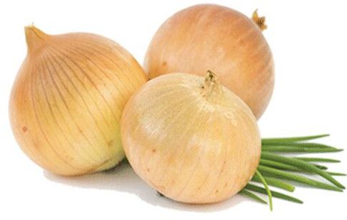Fresh Yellow Onion