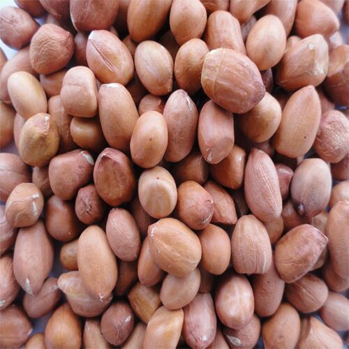 Java Peanuts For Direct Consumption