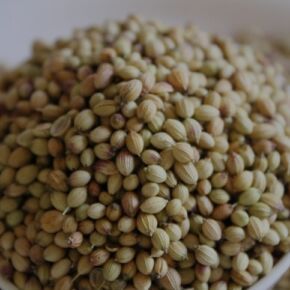 Coriander Seed