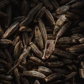 cumin seeds