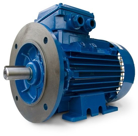 Foot Cum Flange Motor