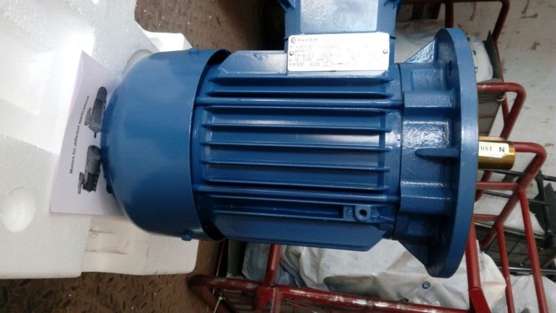 Vertical Gear Motor B-5