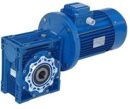 Worm Gear Motor