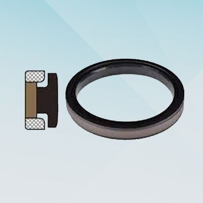 Spgw Piston Seal