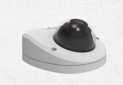 Ruggedized IP Cameras