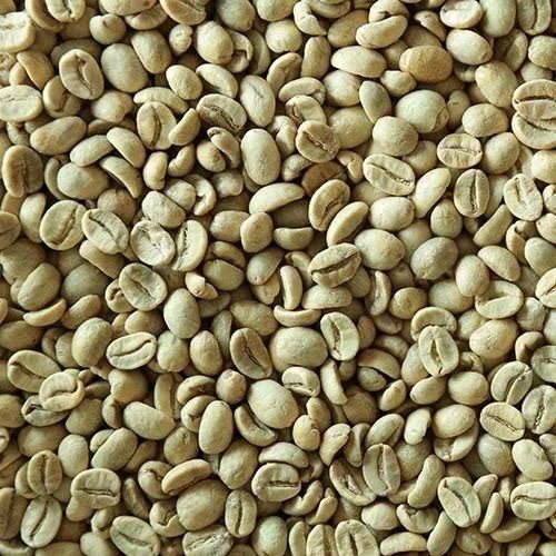 Arabica Plantation B Coffee Bean