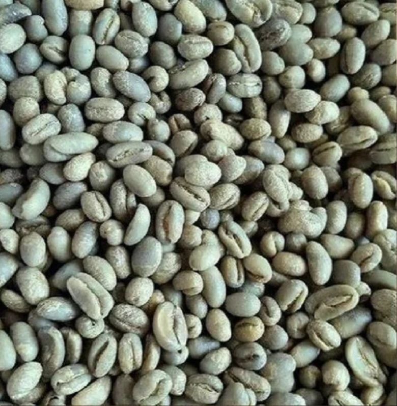 Robusta Cherry PB Coffee Beans