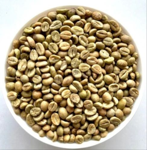 Robusta Parchment C Coffee Bean