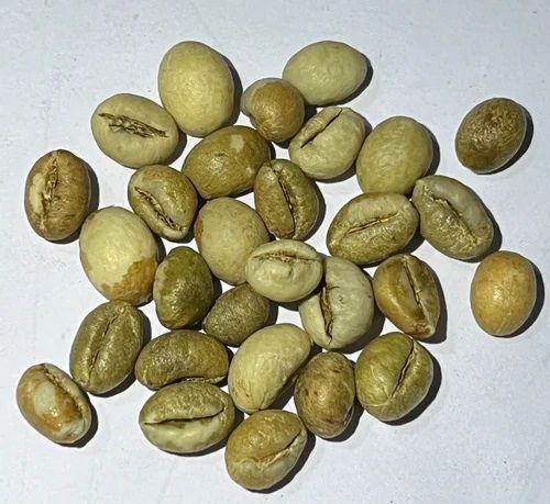 Robusta Parchment PB Coffee Beans