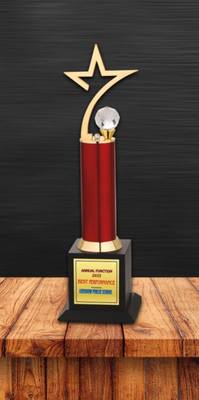 CA-7511 Metal Corporate Award