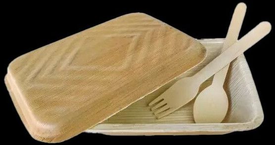 Areca Food Container