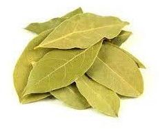 bay leaf