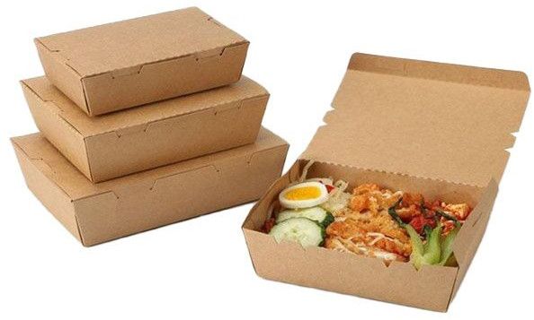 Biodegradable Disposable Food Box
