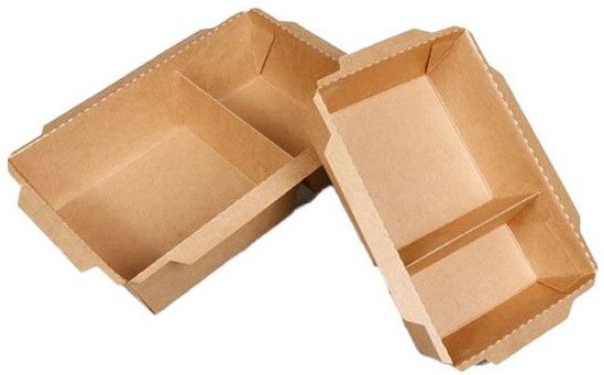 Biodegradable Disposable Food Tray 2