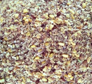 chana churi cattle feed