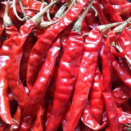 Dry Chili Pepper