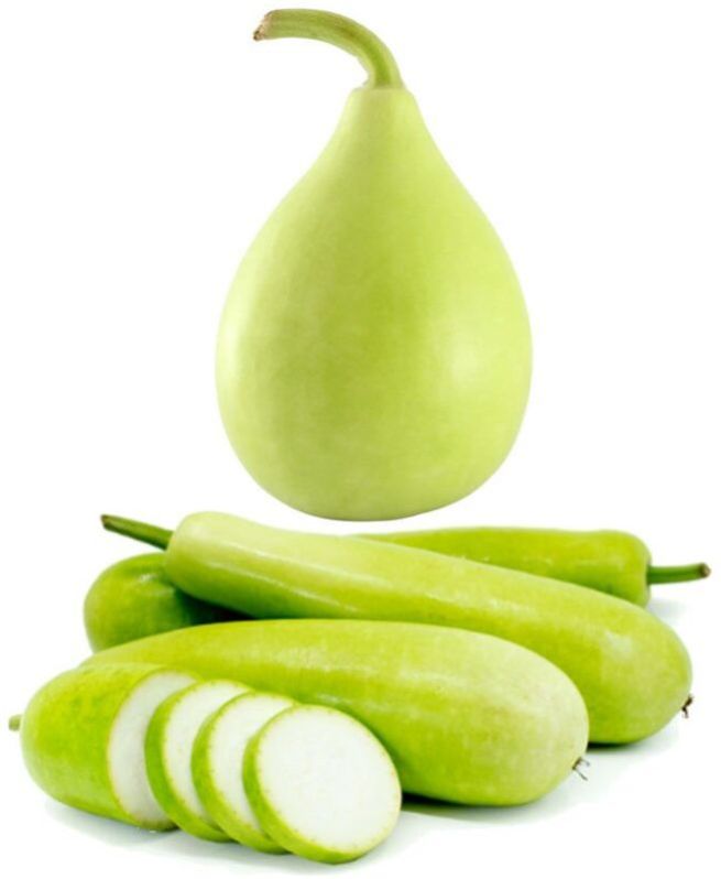 fresh bottle gourd