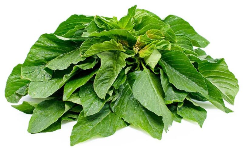Fresh Green Amaranth Leaves