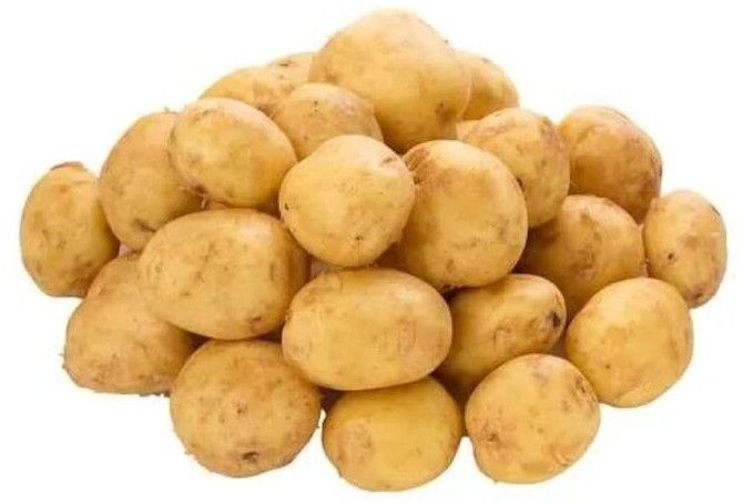 fresh potato