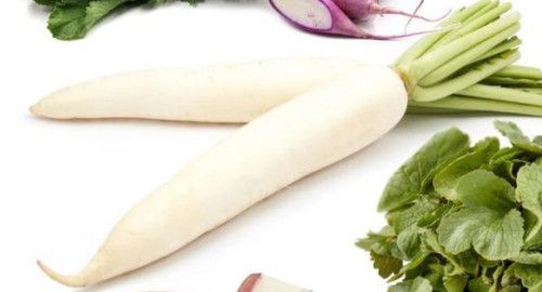 Fresh Radish
