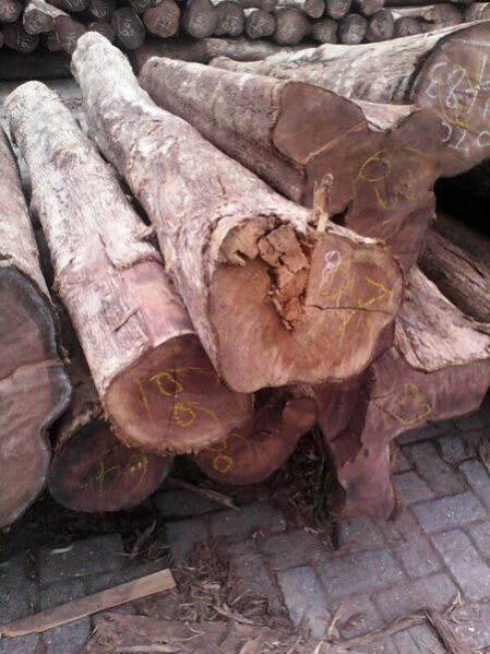 wood logs