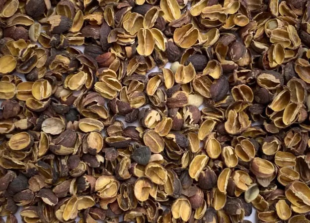 Coffee Bean Husks