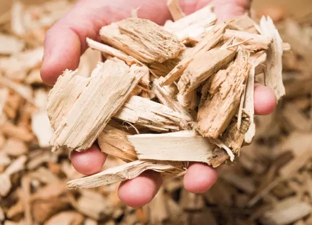 Wood Chips