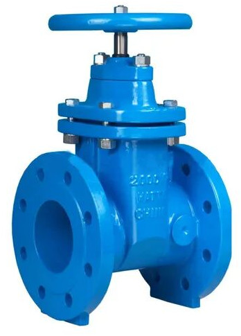 Ajanta Cast Iron Double Flanged Sluice Valve For Water