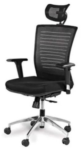 Ergonomic High Back Mesh Chair With 2D Adjustable Arms & Lumbar Support