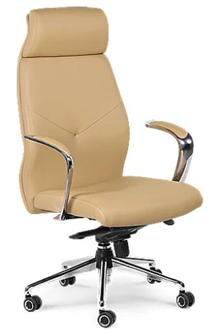 Ergonomic Sleek High Back Director Office Chair