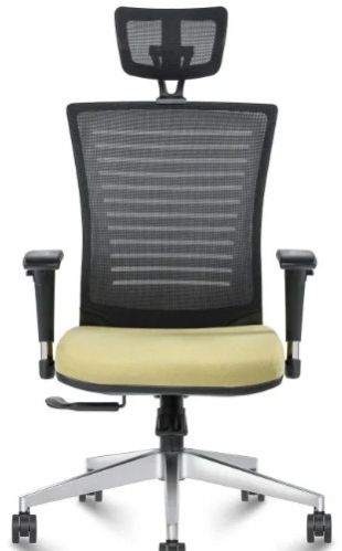 Adjustable Lumbar Support High Back Mesh Chair