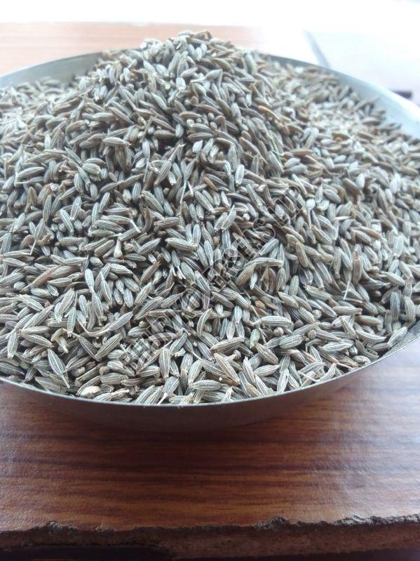 Brown Europe Quality Cumin Seeds