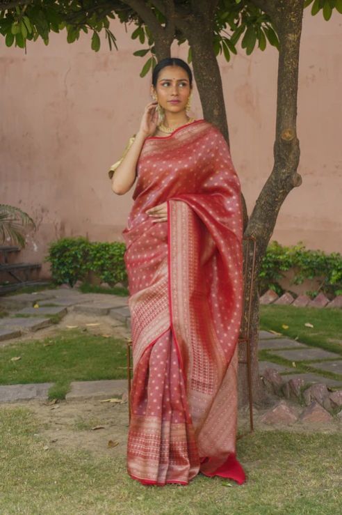 Narayani Handwoven Red Banarasi Organza Silk Saree