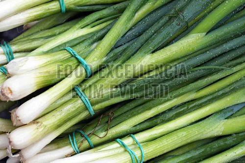 Fresh Green Onion