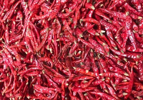 dry red chilli