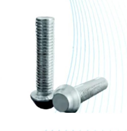 Stainless Steel Anti Theft Bolts