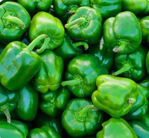 Natural Fresh Green Capsicum, Packaging Size : 20 Kg