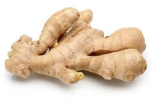 fresh ginger