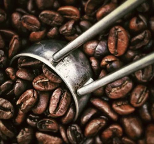 Hybrid Coffee Beans