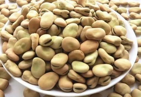 Organic Fava Beans, Packaging Size : 10Kg, Packaging Type : Bag