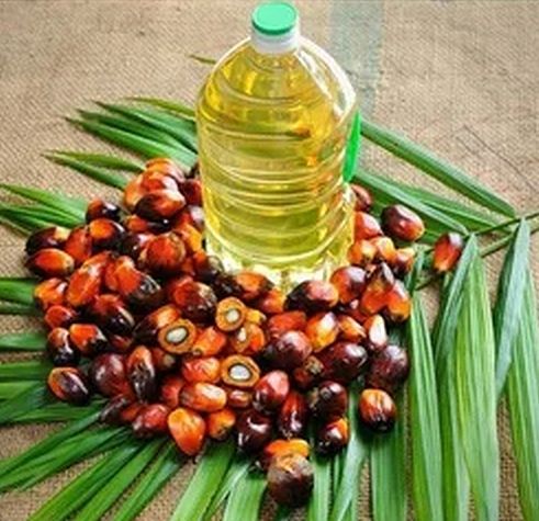 Palm Oil, Packaging Type : Bottle for Cooking