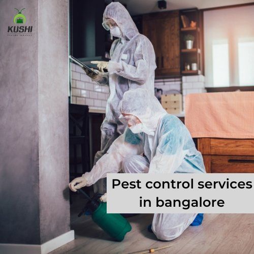 Pest Control Services