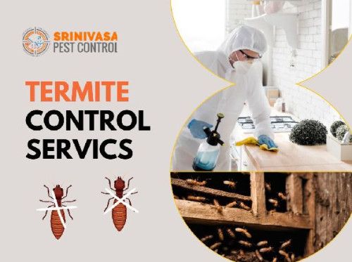 Termite pest control service